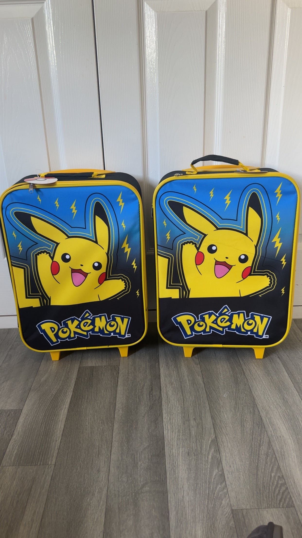 Deluxe Pokemon bundle